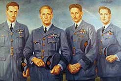 The Douglas-Hamilton brothers