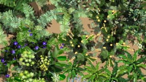 A detail from the takeaway plan