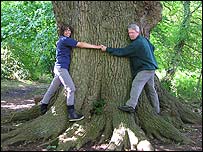 Tree hugging at Ranworth