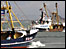 Brixham Trawler Race (Sarah Anne Harvey)