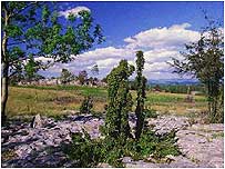 Whitbarrow c/o Paul Glendell and Natural England