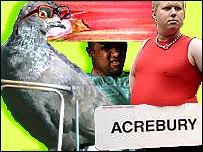 Guinness Book of Records, Wiltshire