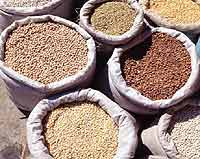 Sacks of grain and beans