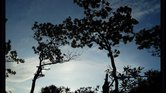 Reaching