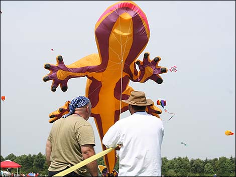 Gecko- Sunderland International Kite Festival 2006