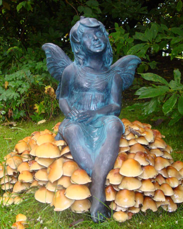 Garden fairy statue with fungi (courtesy of Jean Wilcock)