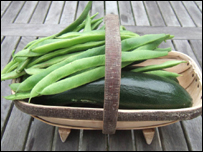 Runner Beans