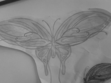BUTTERFLY