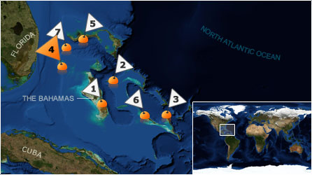 Dive map - Atlantic Ocean - Site 4