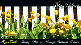 Blue Velvet DVD screengrab