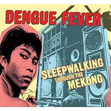 Review of Sleepwalking Through the Mekong