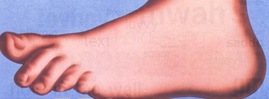Monty Python foot