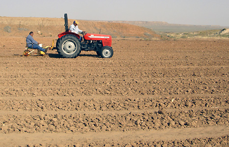 Two men working on a red tractor. Photograph by Andrew Lewis.