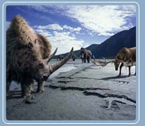 Prehistoric Scene with Wooly Rhino and Giant Elk