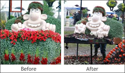 Wallace before and after