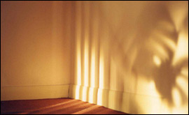 My Miss Mu by Julia Gate