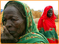 دس ہزار مقامی باشندے ہلاک ہوئے ہیں اور دس لاکھ سے زائد بے گھر ہوگئے ہیں