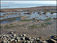 The beach under the East Cliff