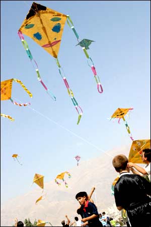 عکس از هاله پهلوان