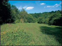 Warburg by Jim Asher