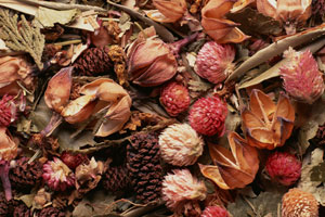 pot pourri