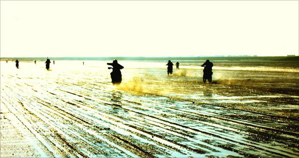 Photo by Will Blackmore