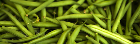 Runner Beans
