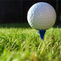 Close-up image of a golf ball on a tee