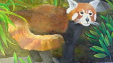 Red panda Red panda