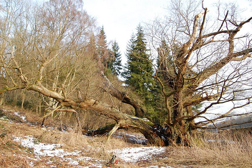 2010 Feb split in two