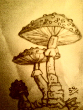 Mushrooms