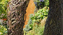 The John Joseph Mechi Garden