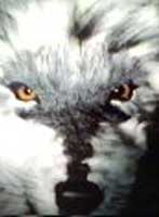 Are you looking at me?