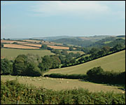 South Hams countryside