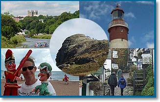 Your chance to choose a flag to represent Devon