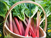 rhubarb