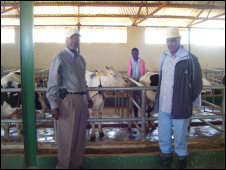 Dairy farmers in Somaliland