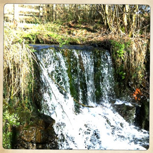 A miniature waterfall at Parc Slip reserve.