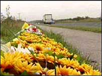 Roadside flowers