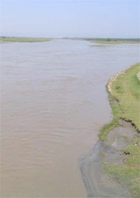 امو سيند