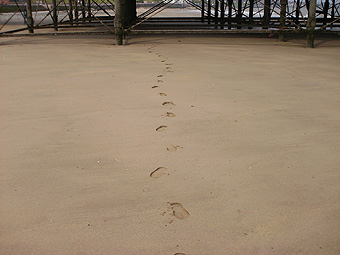 Olion traed ar y traeth