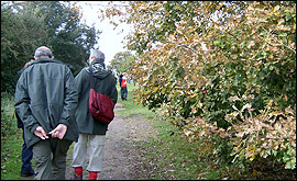 walking