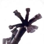 A 3.7 inch gun after a premature explosion