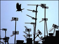 परंपरागत टेलीविज़न के एंटीना