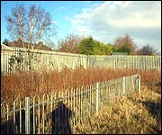 The garden as it looked then!