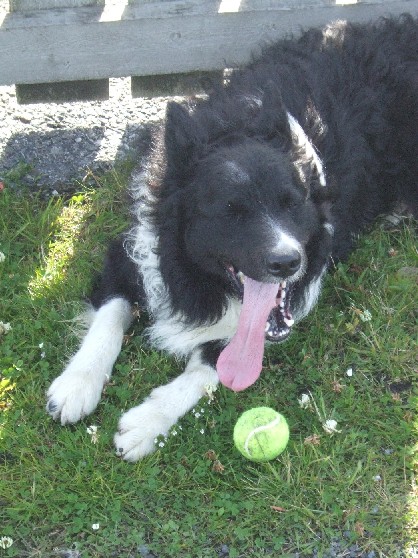 The ball is back & all is well!