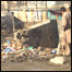 کوڅې اوکثافات