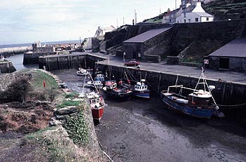 Amlych (Gwynedd, Anglesey)