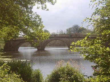 Bridge over troubled Water