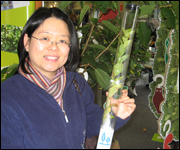lady with gift tree